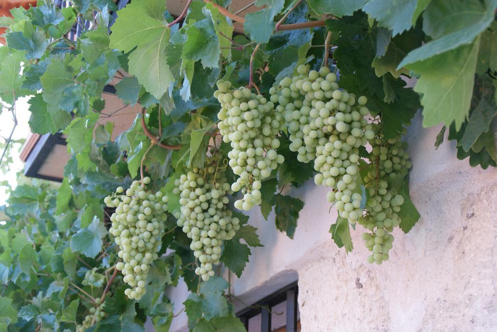 Dulce Encanto Del Valle Valle de Tabladillo Екстер'єр фото